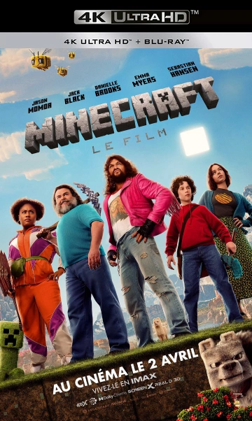 Minecraft, Le Film